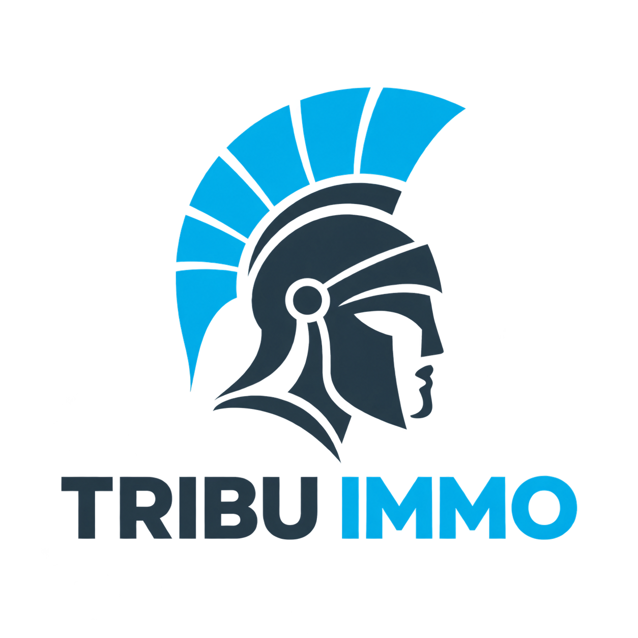 Tribu Immo — équipe de Guillaume Roque